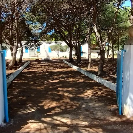 Debora